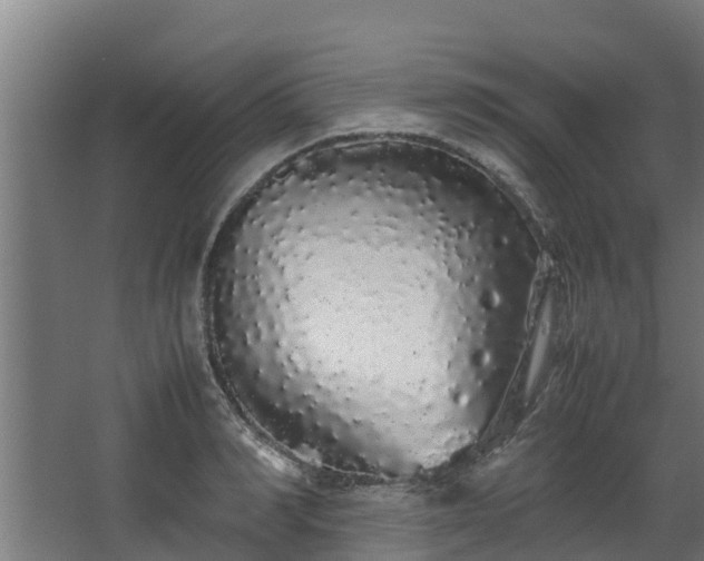 X0000067930990200604201451