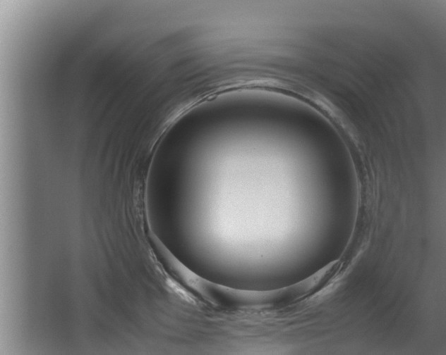 X0000067931001200604201451