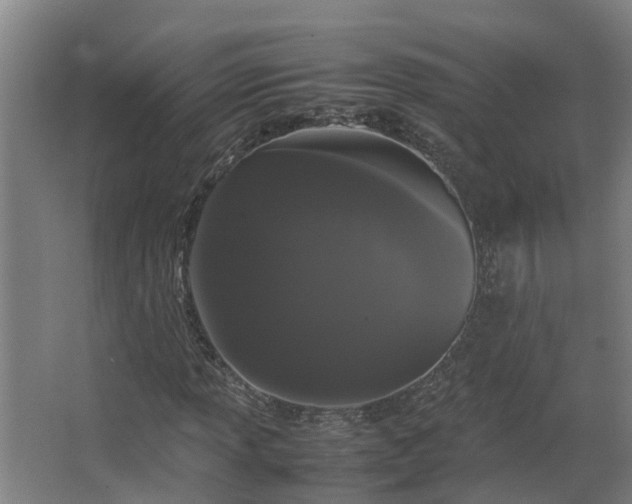 X0000067931013200604201450