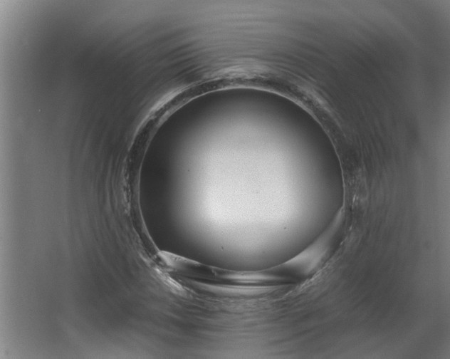 X0000067931018200604201451