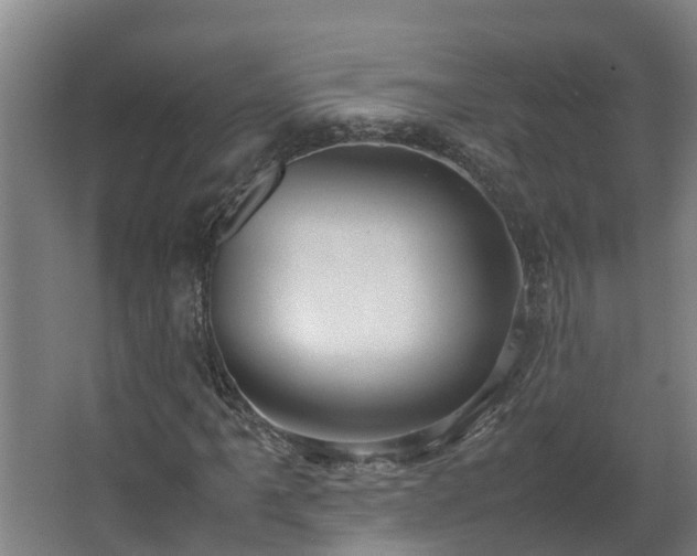 X0000067931061200604201450