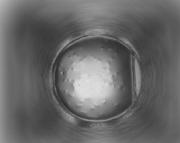X0000067931083200604201450