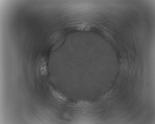 X0000067931154200604201449