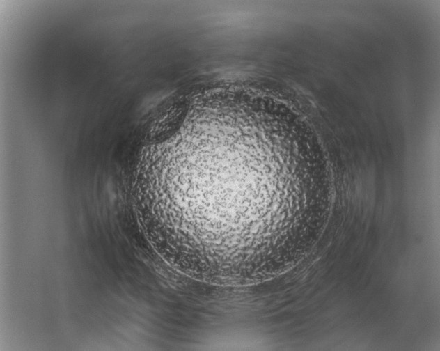 X0000067931158200604201449
