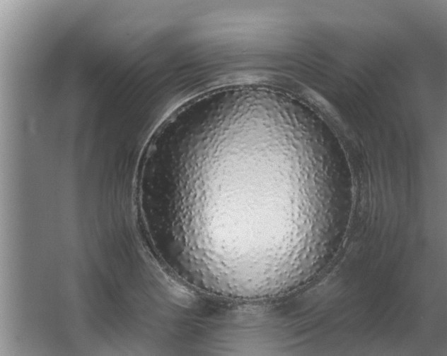 X0000067931178200604201448
