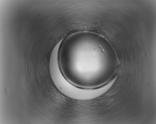X0000067931202200604201447