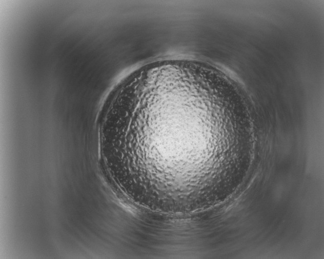 X0000067931223200604201448