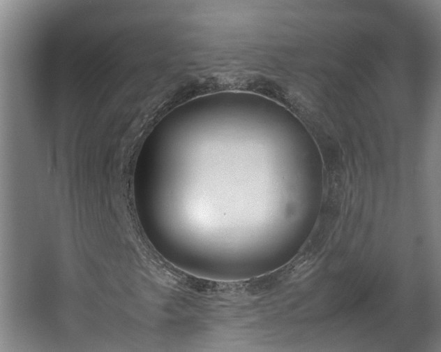X0000067931249200604201447