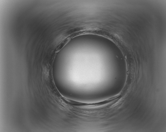 X0000067931257200604201447