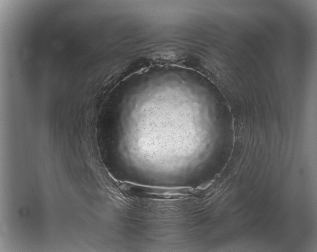 X0000067931297200604201446