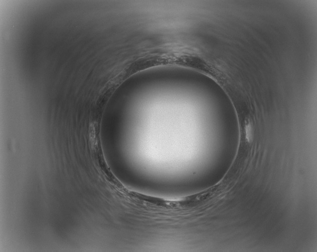 X0000067931347200604201445