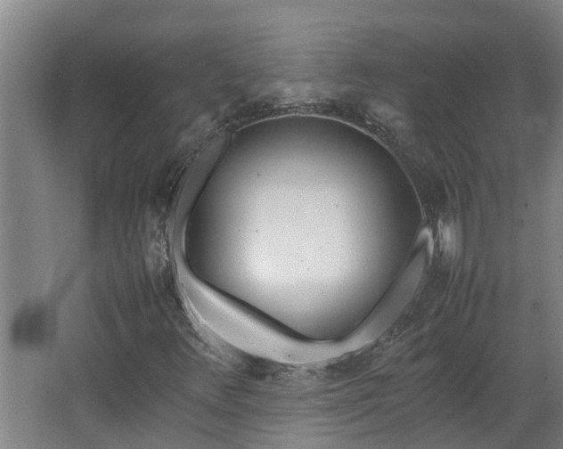 X0000067931348200604201445