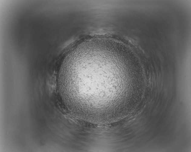 X0000067931350200604201445