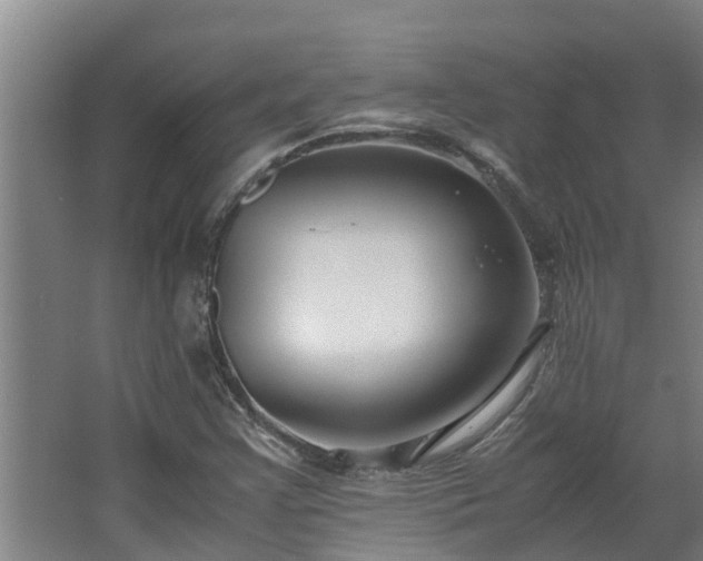 X0000067931355200604201445