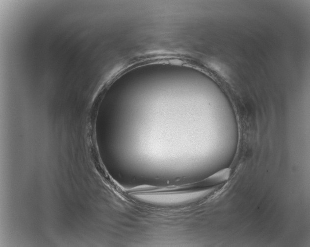 X0000067931357200604201445