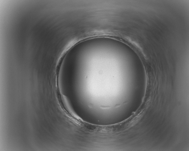 X0000067931365200604201445