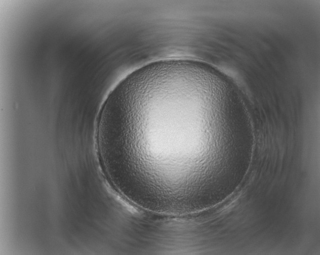 X0000067931374200604201445