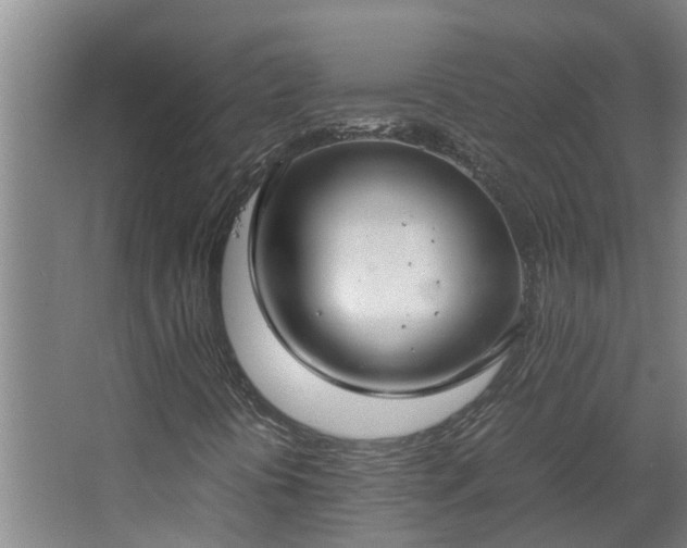 X0000067931394200604201444