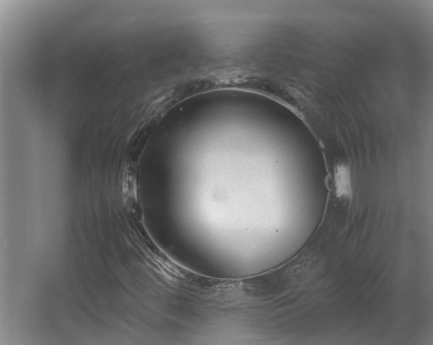 X0000067931444200604201444