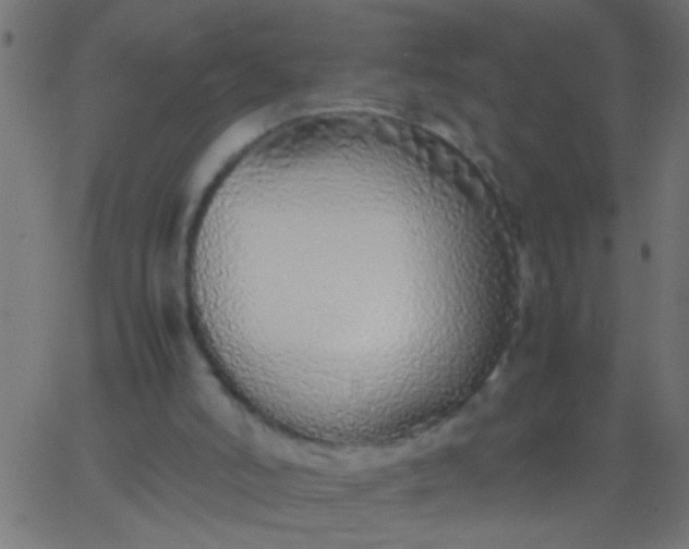 X0000067930006200604272020