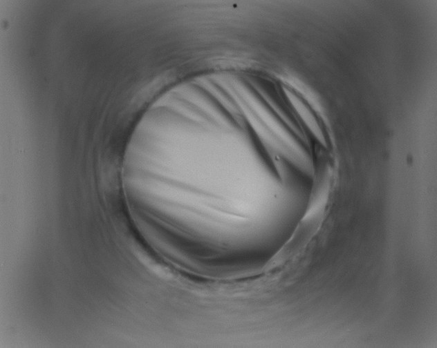 X0000067930009200604272020