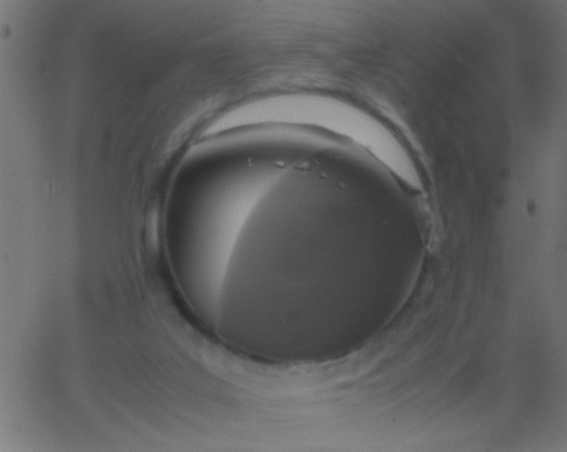 X0000067930019200604272020