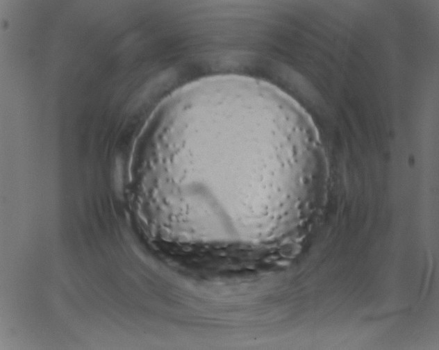 X0000067930022200604272020