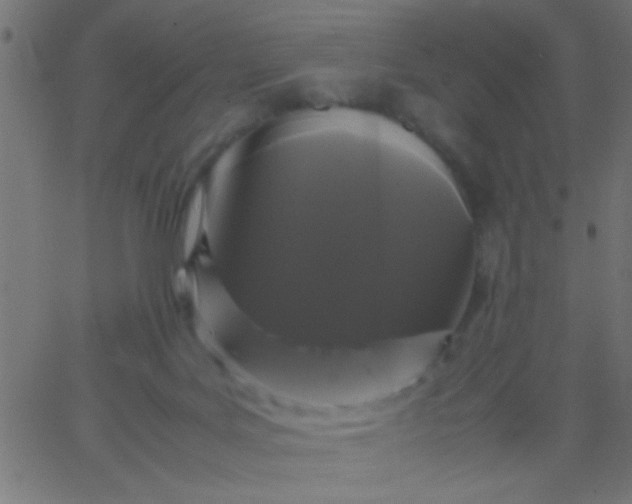 X0000067930027200604272020