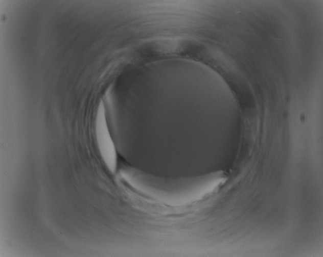 X0000067930035200604272020