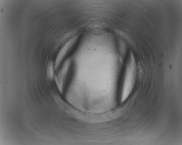 X0000067930042200604272020