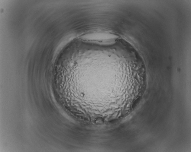 X0000067930049200604272019