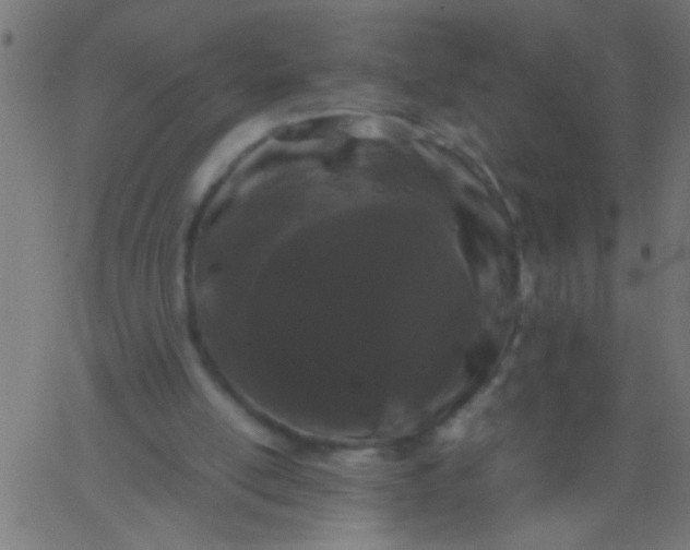 X0000067930054200604272019