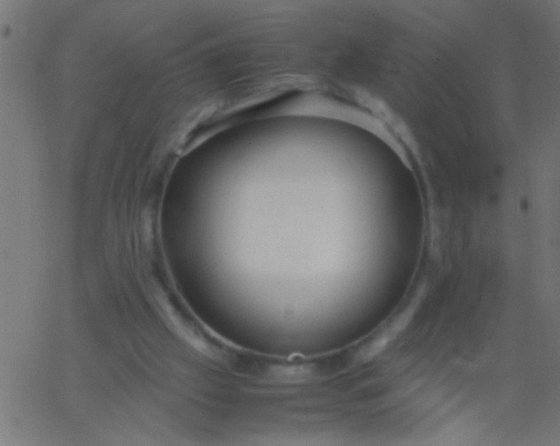 X0000067930057200604272019