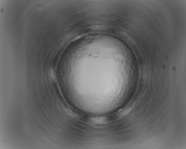 X0000067930089200604272020