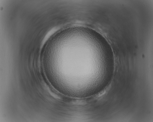 X0000067930102200604272019