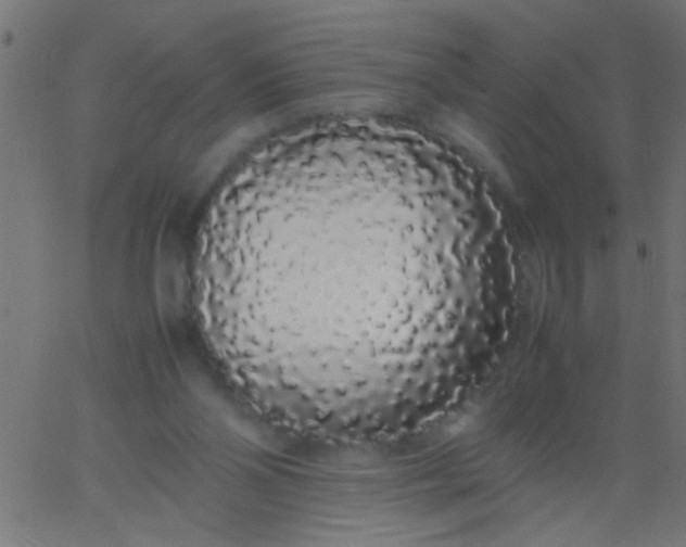 X0000067930110200604272019