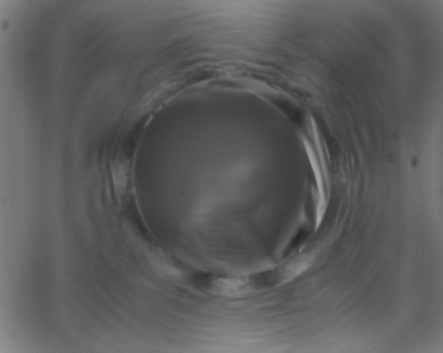 X0000067930139200604272018