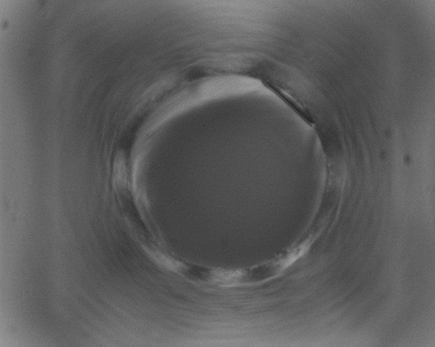 X0000067930143200604272018