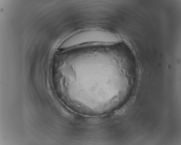 X0000067930145200604272017