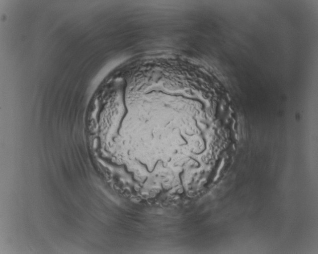 X0000067930147200604272017