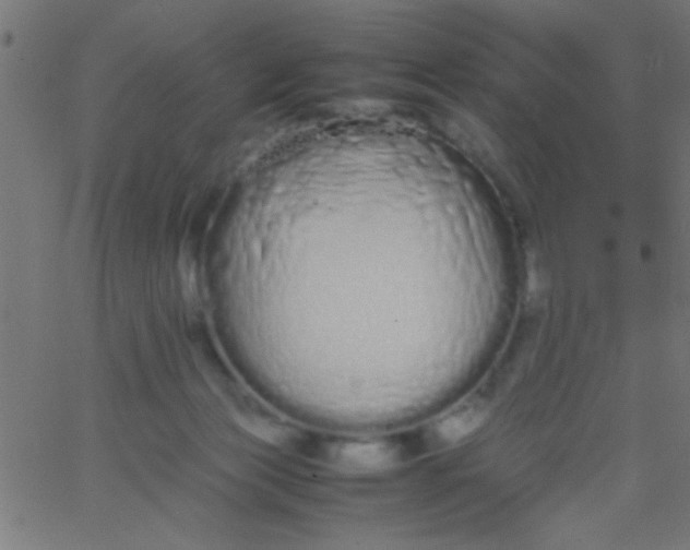 X0000067930173200604272018