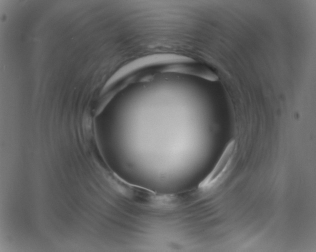 X0000067930192200604272018