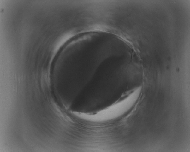 X0000067930200200604272017