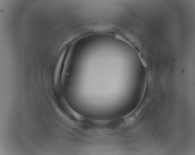 X0000067930201200604272017