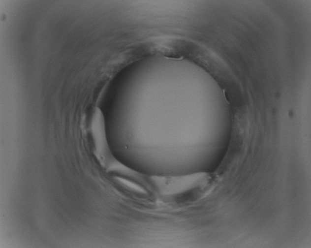 X0000067930223200604272017