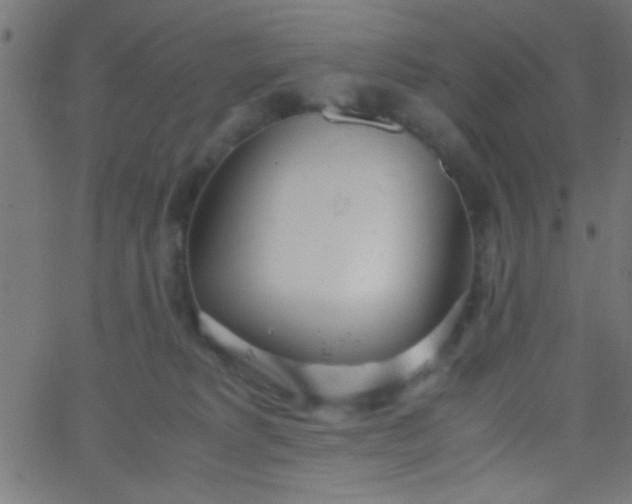 X0000067930229200604272017