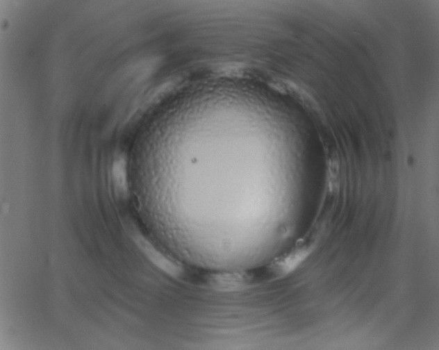 X0000067930238200604272017