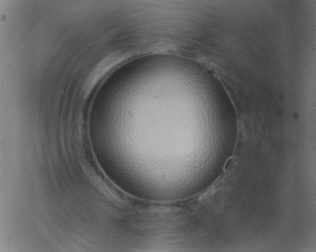 X0000067930242200604272016