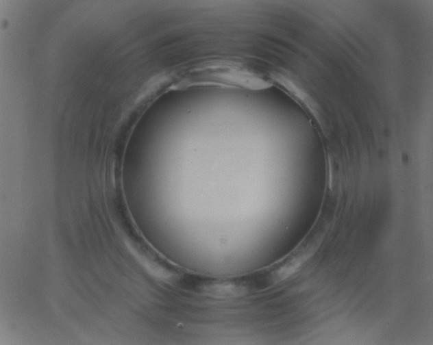 X0000067930253200604272016