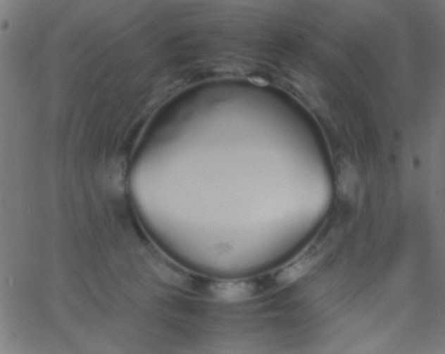 X0000067930273200604272016